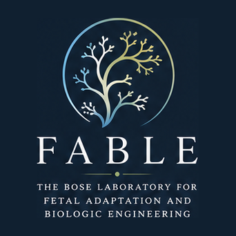 FABLE logo